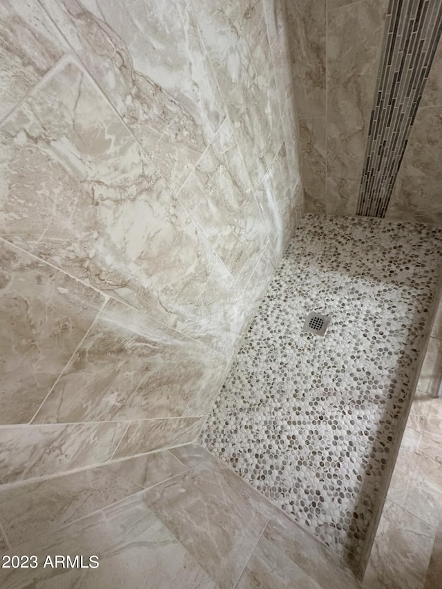 room details with a tile shower