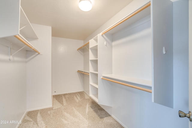 spacious closet with light colored carpet