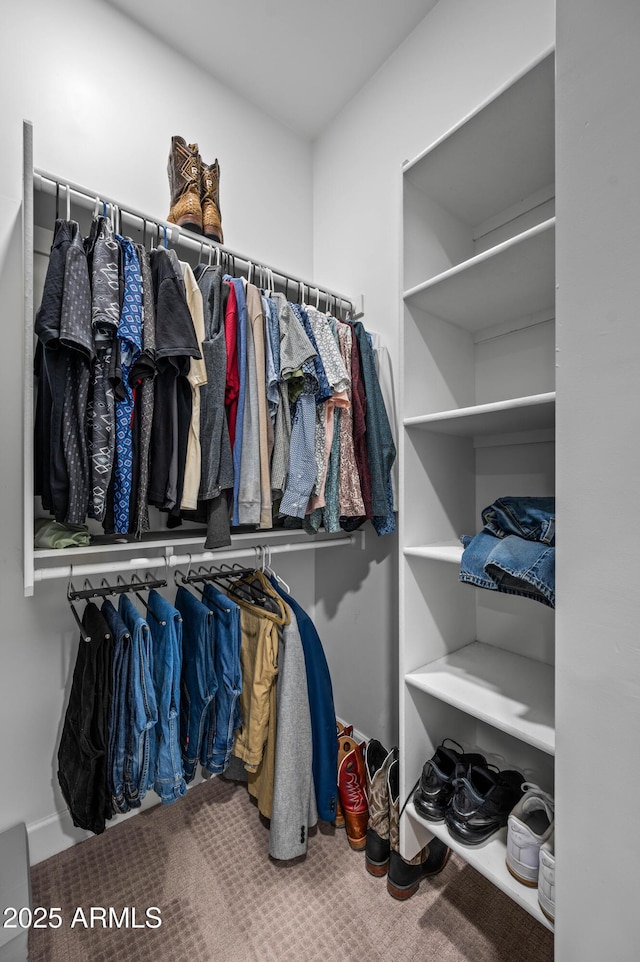 8017 S 143rd Ave, Goodyear, AZ 85338 - walk in closet with carpet