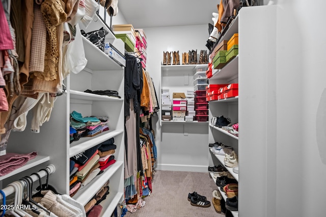 8017 S 143rd Ave, Goodyear, AZ 85338 - walk in closet with carpet flooring