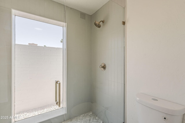 2307 W Nido Ave, Mesa, AZ 85202 - bathroom featuring a shower stall and toilet