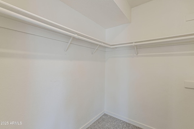 2307 W Nido Ave, Mesa, AZ 85202 - walk in closet with carpet floors