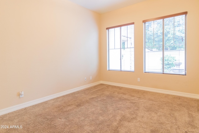 empty room featuring carpet