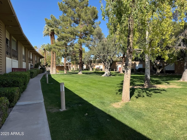 6125 E Indian School Rd Unit 152, Scottsdale, AZ 85251 - view of community featuring a yard