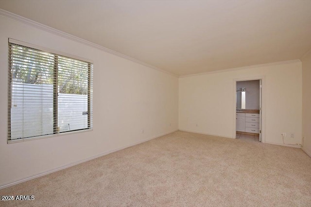 spare room featuring light colored carpet and crown molding