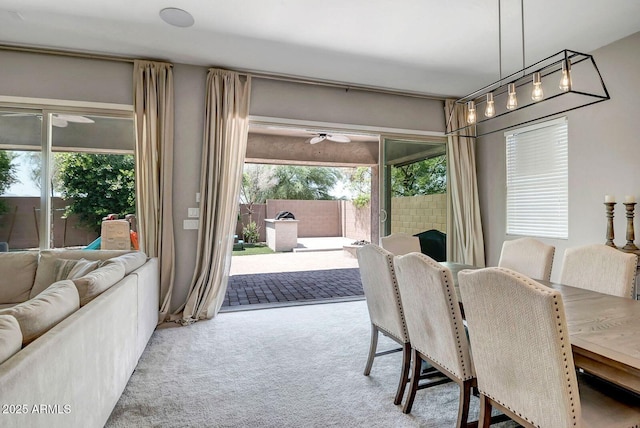 dining room featuring ceiling fan and light carpet