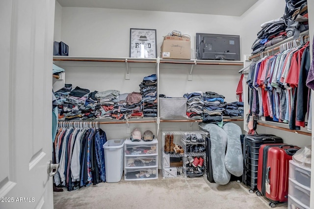 walk in closet featuring carpet floors