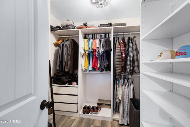 walk in closet with hardwood / wood-style flooring