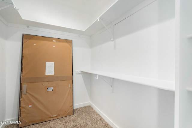 spacious closet with carpet