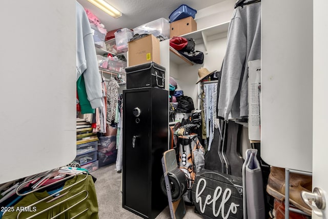 spacious closet with light colored carpet