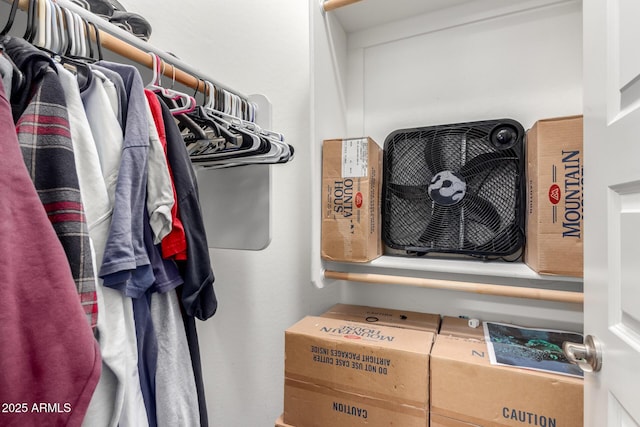 view of spacious closet