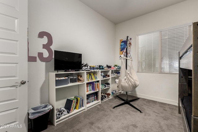 interior space featuring carpet flooring