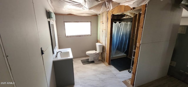 452 W Ray St, Superior, AZ 85173 - full bathroom with toilet, a shower with shower curtain, and vanity
