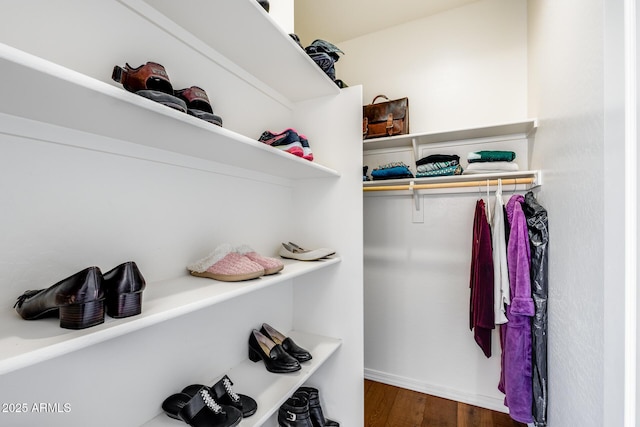 31332 N 137th Ln, Peoria, AZ 85383 - spacious closet featuring wood finished floors