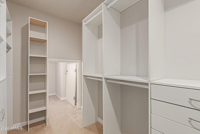 spacious closet featuring light carpet