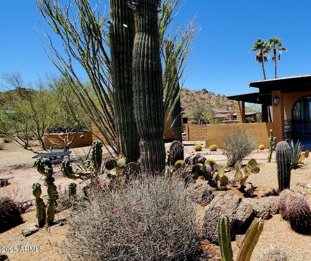 9607 E Mckellips Rd, Mesa, AZ 85207 - view of yard