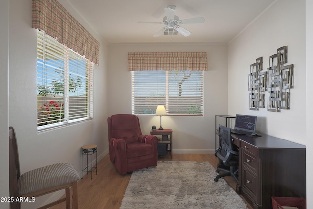 office space with light hardwood / wood-style flooring, ceiling fan, and ornamental molding