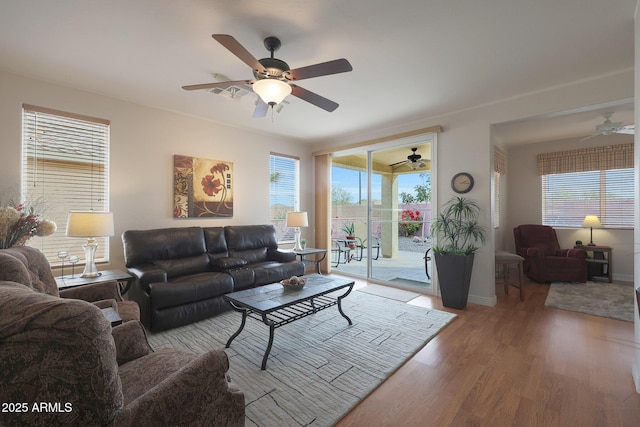 living room with hardwood / wood-style floors and plenty of natural light