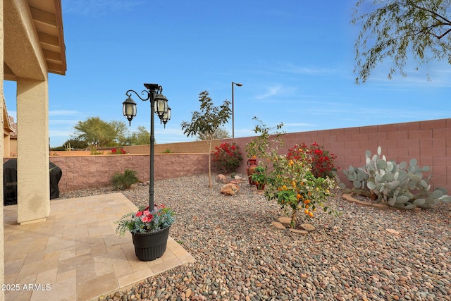 view of yard with a patio