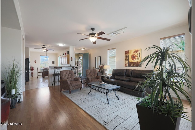 living room with ceiling fan and wood-type flooring