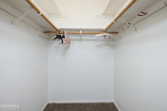 spacious closet with carpet flooring