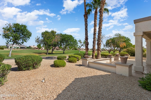 view of community featuring a lawn