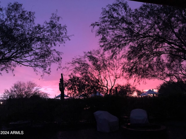 view of nature at dusk