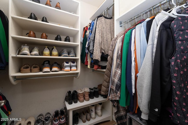 view of walk in closet