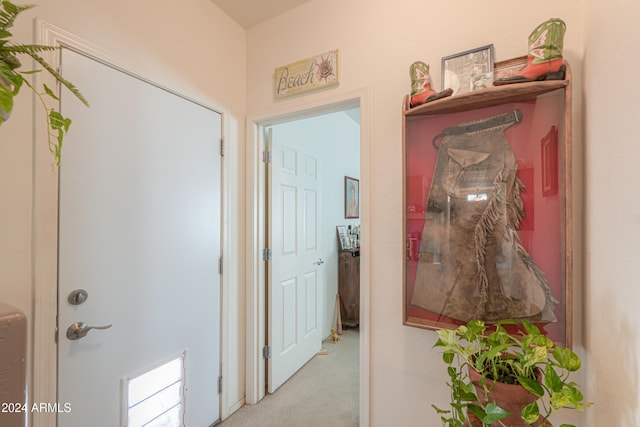 hallway with light carpet