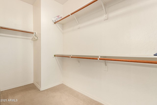 spacious closet with light colored carpet