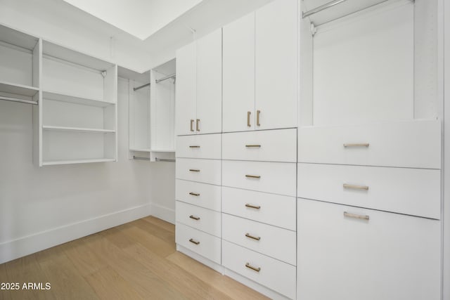 walk in closet with light wood finished floors