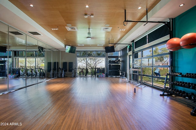 exercise room featuring dark hardwood / wood-style floors and expansive windows