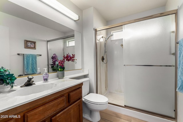 bathroom featuring vanity, a wealth of natural light, and an enclosed shower