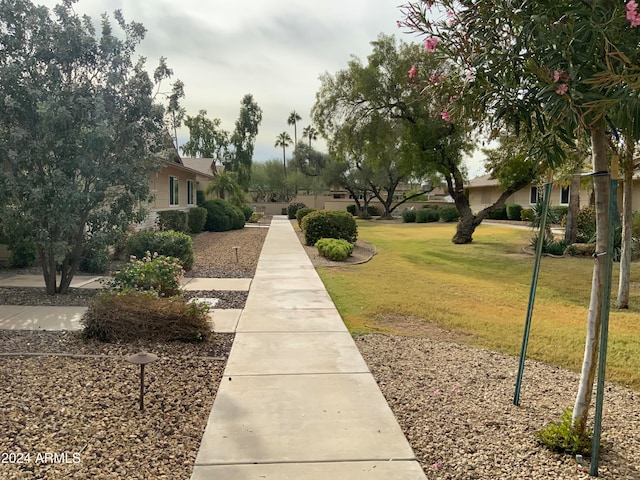 view of property's community featuring a yard