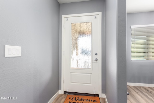 doorway to outside featuring light wood-type flooring and a healthy amount of sunlight