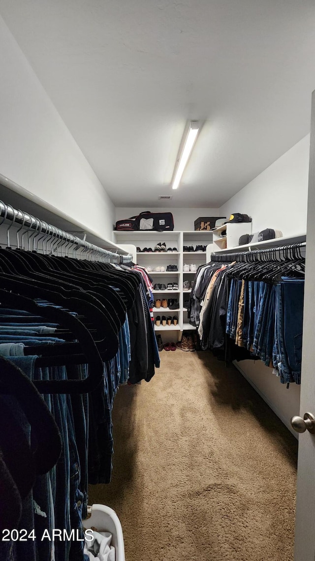 6349 W Valencia Dr, Laveen, AZ 85339 - walk in closet with carpet flooring