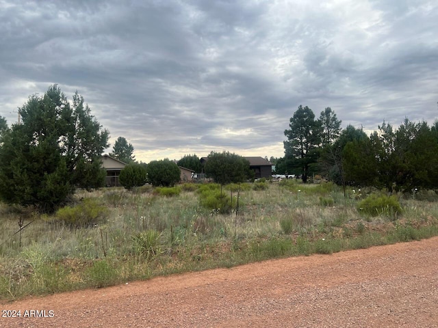 Listing photo 3 for 2222 Sitgreaves Dr Unit 270, Overgaard AZ 85933