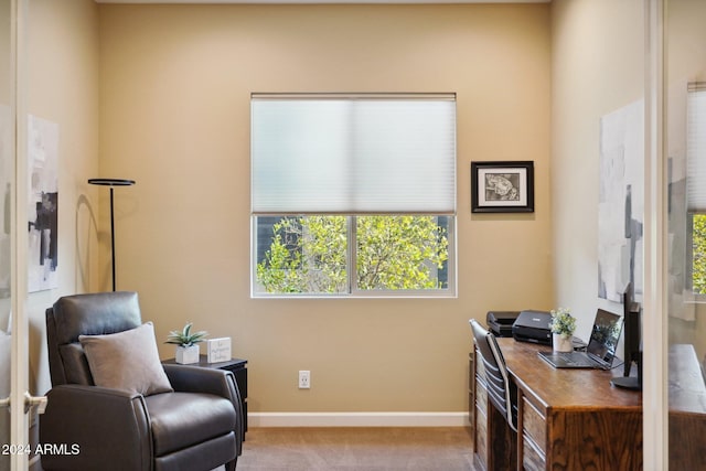 view of carpeted office