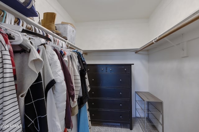 view of spacious closet