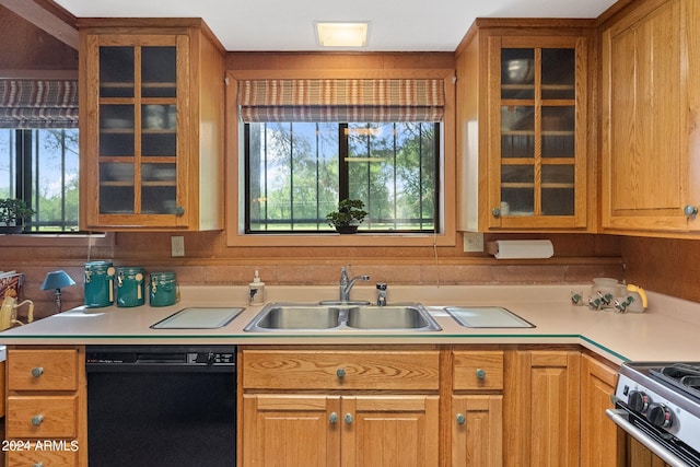 kitchen featuring dishwasher, stainless steel electric range oven, and sink