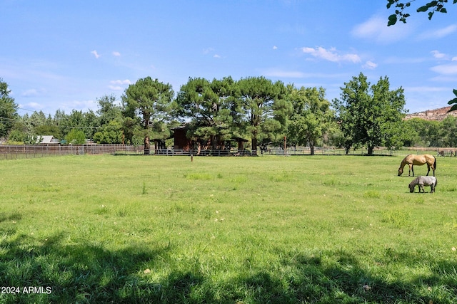 view of yard with a rural view