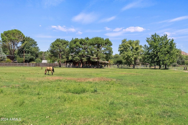 view of yard with a rural view