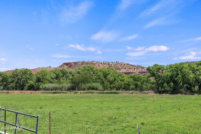 property view of mountains with a rural view