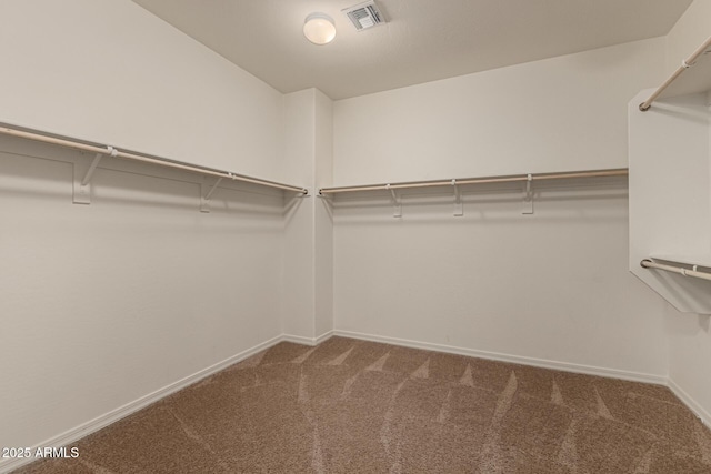 walk in closet with carpet