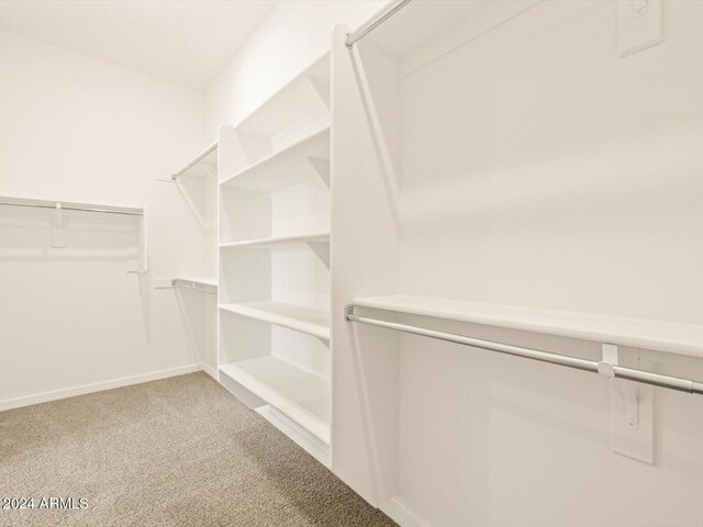 spacious closet featuring carpet flooring