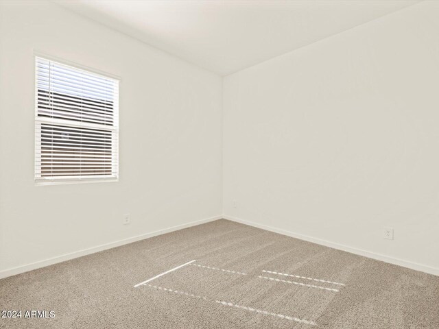 spare room with carpet floors