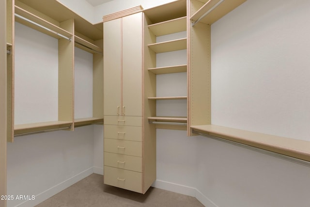 16814 N Boulder Dr, Fountain Hills, AZ 85268 - spacious closet featuring light colored carpet