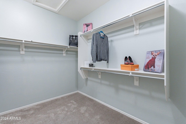 spacious closet with carpet flooring