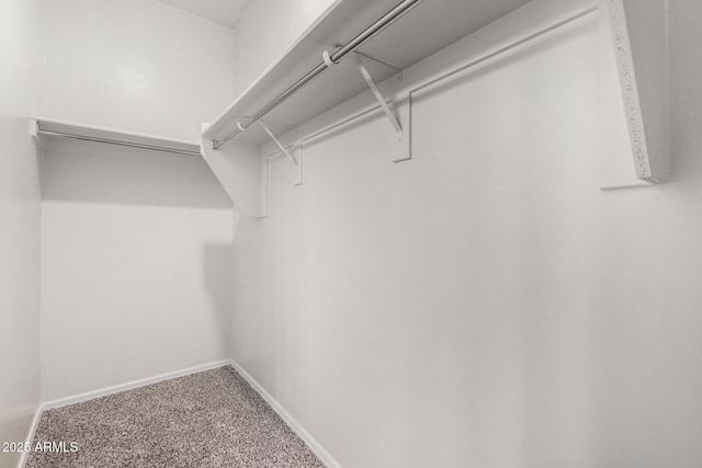 spacious closet with carpet flooring