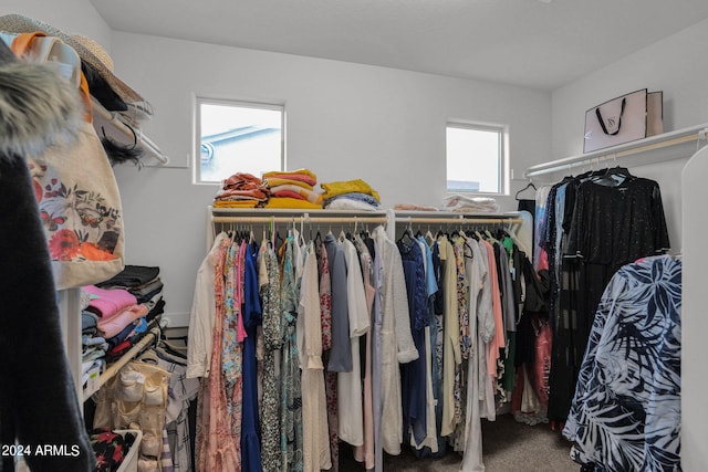 walk in closet featuring carpet flooring